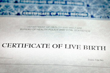 Birth Certificate Form Paper Official Baby Born as Record Document