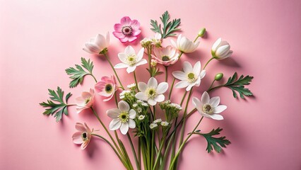 Vintage Flat Lay of Anemone Sylvestris and Snowdrop Flowers on Soft Pink Background for Spring Aesthetic