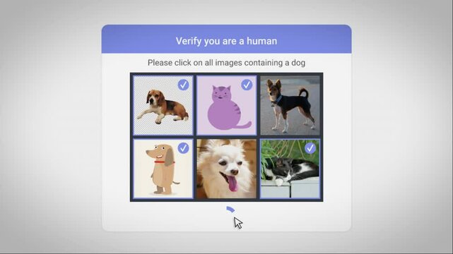 Failed attempt logging into account using human visual recognition test. Computer or human check upon website entrance with images of animals. Robot or bot chooses wrong pictures and cannot enter site