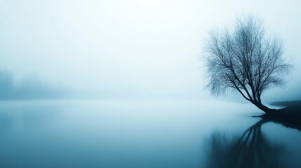 Silhouette of a tree in a foggy lake.