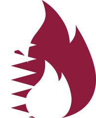 Obraz premium Qatar Flag In Fire