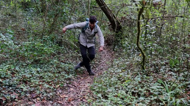 Hiker stumbles and falls in the forest, injuring leg and getting up limping