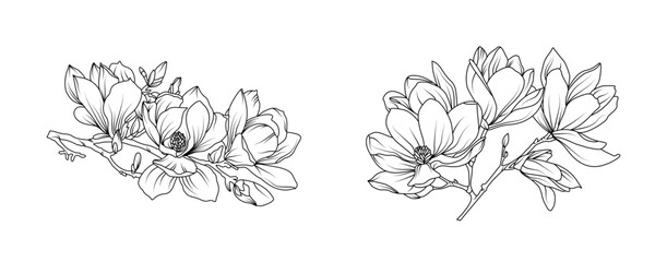 Magnolia flower arrangement line art on white background. Silhouette magnolia botanical hand drawn element for wedding, invitation frame design, vector illustration © abcvector