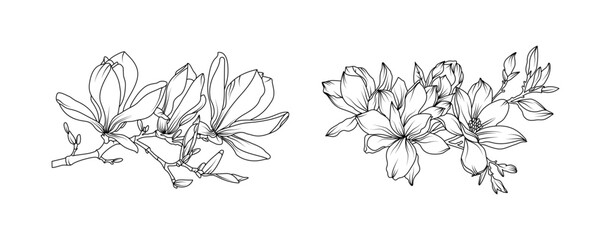 Magnolia flower arrangement line art on white background. Silhouette magnolia botanical hand drawn element for wedding, invitation frame design, vector illustration © abcvector