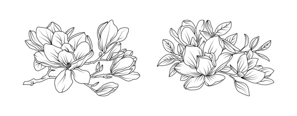 Magnolia flower arrangement line art on white background. Silhouette magnolia botanical hand drawn element for wedding, invitation frame design, vector illustration © abcvector
