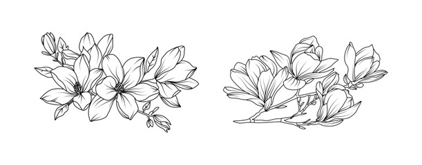 Magnolia flower arrangement line art on white background. Silhouette magnolia botanical hand drawn element for wedding, invitation frame design, vector illustration © abcvector