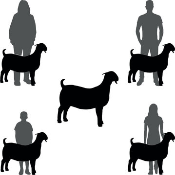 Boer Goat Show Vector File, Livestock Judging Vector, Farm Girl Boy Vector, 4-H, FFA Show - Vector Art 