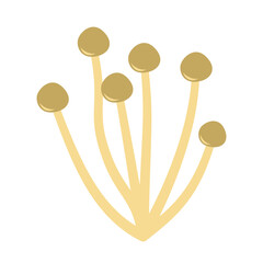Enoki mushrooms. Vector illustration