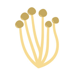 Enoki mushrooms. Vector illustration