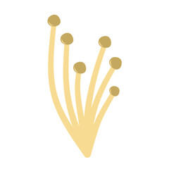 Enoki mushrooms. Vector illustration