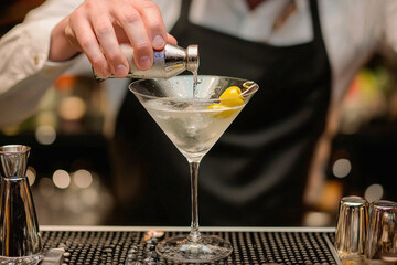 Bartender making dry martini cocktail at the bar counter