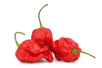 The ghost pepper, bhut jolokia, isolated on white background, very hot chili peppers on white...