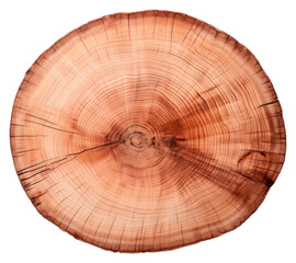 Fototapeta premium PNG Single sliced round Redwood wood plant tree white background.