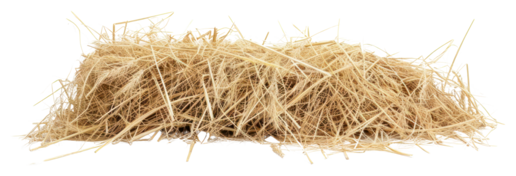 PN hay nature straw.