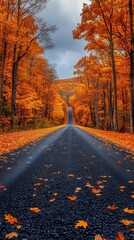 Obraz premium Autumn Roadway Through the Forest - Photo