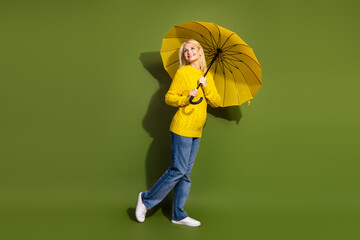 Photo of good mood positive lady wear trendy yellow sweater look empty space isolated on green...