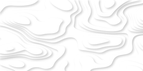 Vector minimal light element shadow landscape wave element curve graphic papercut design. Background with lines Modern black and white carve wave line abstract luxury papercut background.