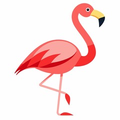 Obraz premium flamingo isolated on white