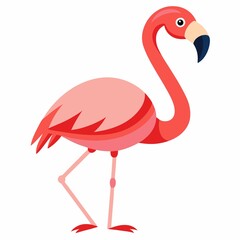 Obraz premium pink flamingo isolated on white