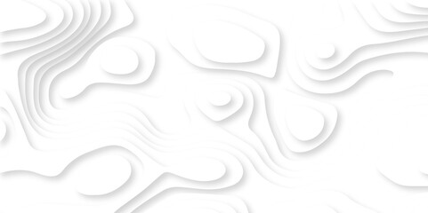 Minimal abstract vector wave carve diamond topography line circle creative 3d papercut white background. Luxury white wave and empty space for texture art design.