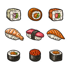 Set different types sushi with fish, caviar and shrimp. Ahi, amaebi, unagi, nigiri, ikura, tamago, California, Philadelphia, masago. Isolated on white. Vintage color vector engraving