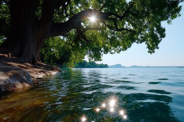 Ancient willow trees swaying gently in the wind by the Summer Palace, with their branches touching the surface of Kunming Lake