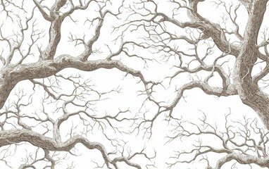 Obraz premium Intricate branches of trees create a delicate pattern against a pale background, showcasing nature's artistry in an abstract form