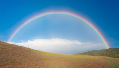 Obraz premium 비온 뒤 무지개가 뜬 하늘