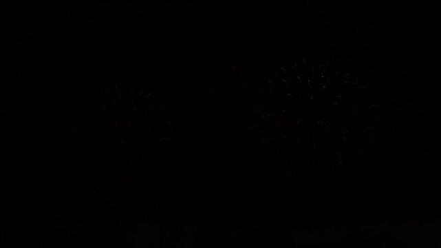 Gold and purple blue green sparks scatter fireworks on the black night sky. General plan