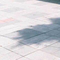 Fototapeta premium In May, the bright sunshine penetrated the spots formed by leaves on the road.