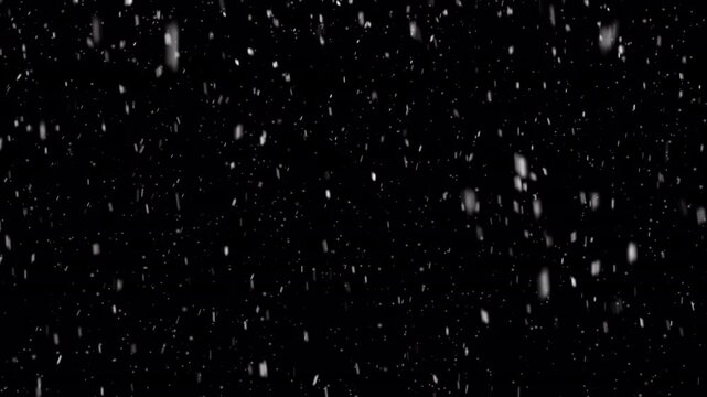 Winter snow overlay. Isolated falling snow animation - transparent background. Seamless loop, alpha channel.
