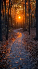 Fototapeta premium Forest Path at Sunset with Golden Light Realistic Image