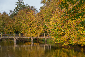 Herbst im westlichen M&uuml;nsterland