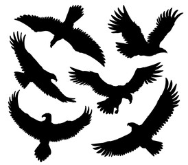 Bald Eagle black silhouette vector icons set, American eagle wild bird of prey soaring, falcon or hawk animal flights