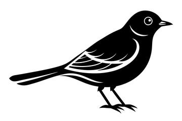 Bird Line Illustration on White Background for Creative Designs