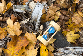 Hourglass with autumn leaves on bench in park, closeup