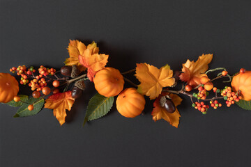 Lush colourful autumnal composition with leaves, twigs  and berries on the dark background.