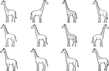 Giraffe Line Art Collection Vector Illustration