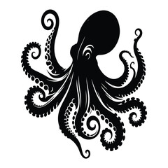 silhouette of a Octopus on vector white background