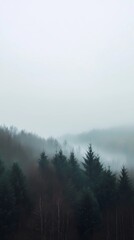 Misty autumn morning in the mountains, with colorful foliage and fog covering the peaks, creating a serene and calming atmosphere for visuals.
