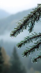 Naklejka premium Misty autumn morning in the mountains, with colorful foliage and fog covering the peaks, creating a serene and calming atmosphere for visuals.