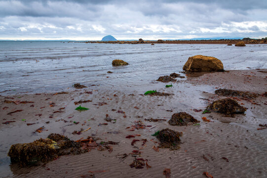Some boulders, Beach, Lendalfoot,South Ayrshire, Scotland, UK