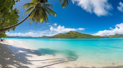 Stunning Tropical Beach with Palm Trees and Turquoise Waters