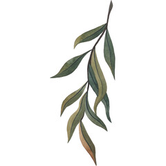 Watercolor Wild Flowers 