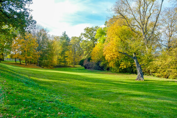 Beautiful colorful autumn nature background. Beautiful autumn landscape