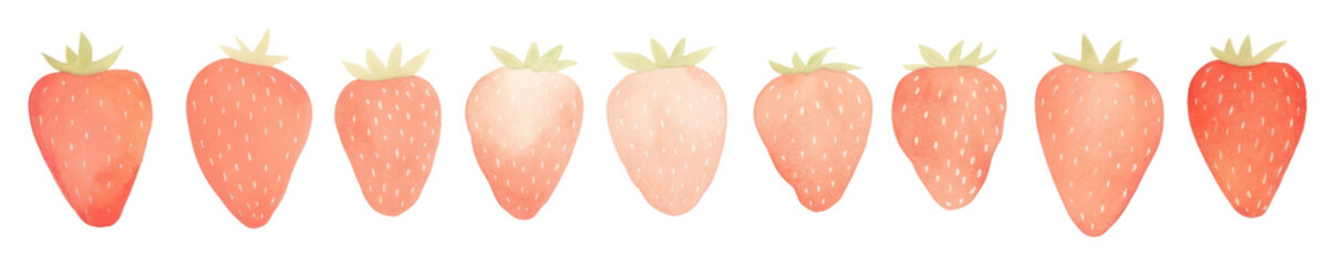 PNG Strawberries as divider watercolor strawberry produce fruit.