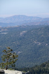 Fototapeta premium Beautiful view from the top of Bald Mountain, California