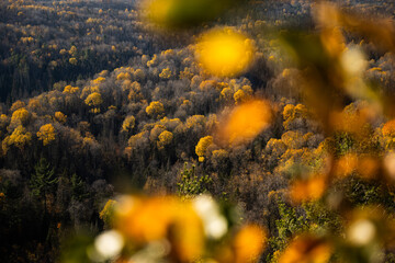 Autumn in Redbridge Northern Ontario
