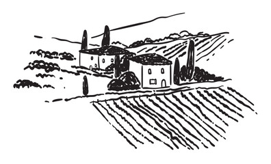 Obraz premium Italian, france or spain vineyard with grape field. Background for wine label design. Vector tuscany landscape with house and wineyard in vintage simple line style. Chalk or charcoal field view.