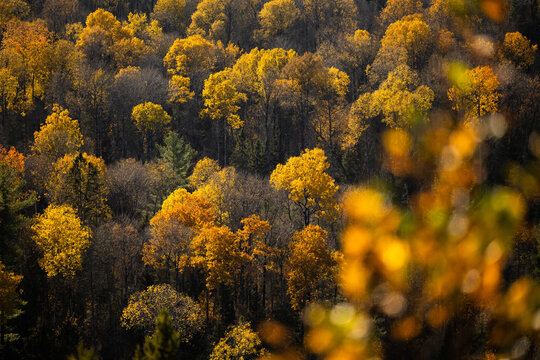 Autumn in Redbridge Northern Ontario